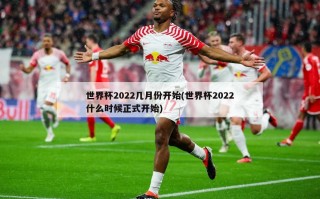 世界杯2022几月份开始(世界杯2022什么时候正式开始)