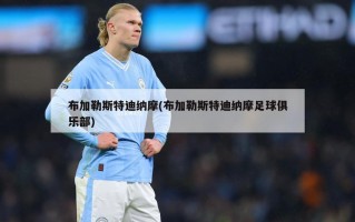 布加勒斯特迪纳摩(布加勒斯特迪纳摩足球俱乐部)