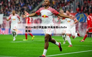 湖人vs独行侠直播(中央体育cctv5+直播)