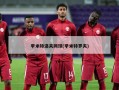 季米特洛夫网球(季米特罗夫)
