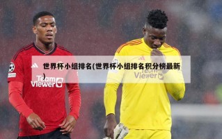 世界杯小组排名(世界杯小组排名积分榜最新)
