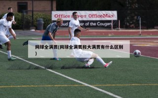网球全满贯(网球全满贯和大满贯有什么区别)