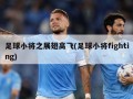 足球小将之展翅高飞(足球小将fighting)