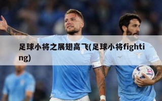 足球小将之展翅高飞(足球小将fighting)