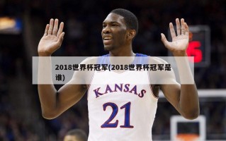2018世界杯冠军(2018世界杯冠军是谁)