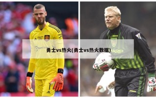 勇士vs热火(勇士vs热火数据)