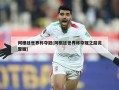 阿根廷世界杯夺冠(阿根廷世界杯夺冠之路完整版)