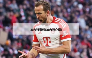 加内特资料(加内特介绍)