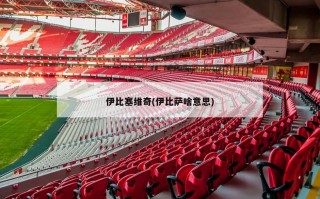 伊比塞维奇(伊比萨啥意思)