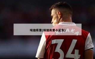 埃迪库里(埃迪库里小鲨鱼)