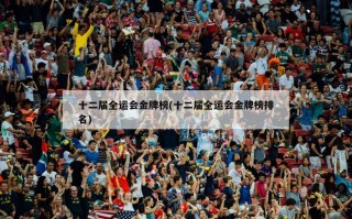 十二届全运会金牌榜(十二届全运会金牌榜排名)