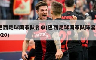 巴西足球国家队名单(巴西足球国家队阵容2020)