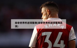 南非世界杯进球集锦(南非世界杯进球集锦高清)