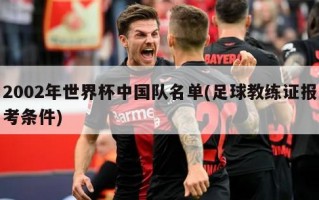 2002年世界杯中国队名单(足球教练证报考条件)