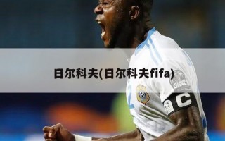 日尔科夫(日尔科夫fifa)
