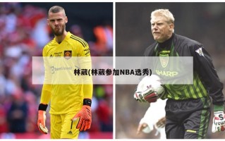 林葳(林葳参加NBA选秀)