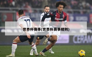 世界杯赛事(世界杯赛事规则)