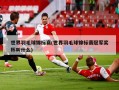 世界羽毛球锦标赛(世界羽毛球锦标赛冠军奖杯叫什么)