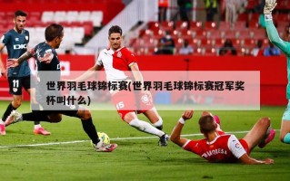 世界羽毛球锦标赛(世界羽毛球锦标赛冠军奖杯叫什么)