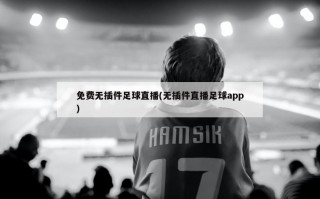 免费无插件足球直播(无插件直播足球app)