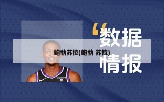 鲍勃苏拉(鲍勃 苏拉)