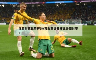 体育彩票世界杯(体育彩票世界杯比分赔付率)
