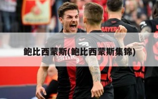 鲍比西蒙斯(鲍比西蒙斯集锦)
