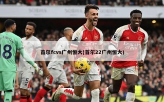 首尔fcvs广州恒大(首尔22广州恒大)