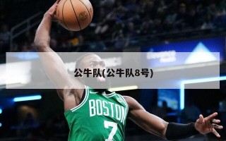 公牛队(公牛队8号)
