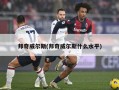 邦奇威尔斯(邦奇威尔斯什么水平)