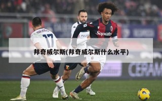 邦奇威尔斯(邦奇威尔斯什么水平)