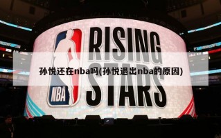 孙悦还在nba吗(孙悦退出nba的原因)