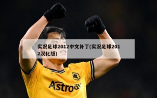 实况足球2012中文补丁(实况足球2012汉化版)