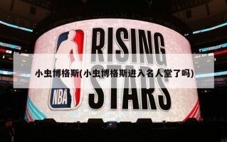 小虫博格斯(小虫博格斯进入名人堂了吗)