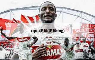 zquu足球(足球dog)