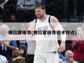 弗拉霍维奇(弗拉霍维奇技术特点)