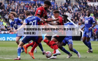 中国网球协会(中国网球协会CTJ青少年积分排名赛)