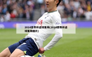 2014世界杯进球集锦(2014世界杯进球集锦图片)
