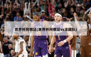 世界杯阿根廷(世界杯阿根廷vs法国队)