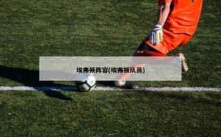 埃弗顿阵容(埃弗顿队员)