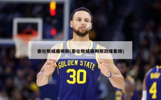 泰伦斯威廉姆斯(泰伦斯威廉姆斯劲爆集锦)
