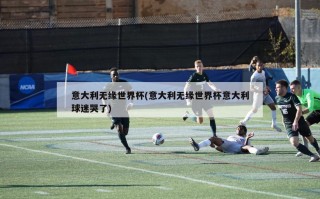 意大利无缘世界杯(意大利无缘世界杯意大利球迷哭了)