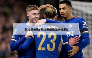 布拉德米勒(布拉德米勒三分准码)