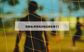 韩德龙(韩德龙汾阳公安去哪了)