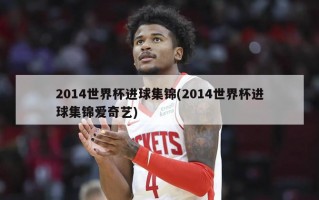 2014世界杯进球集锦(2014世界杯进球集锦爱奇艺)