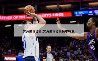 安芬尼哈达威(安芬尼哈达威技术特点)