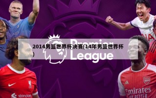 2014男篮世界杯决赛(14年男篮世界杯)