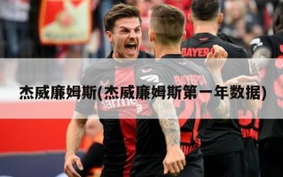 杰威廉姆斯(杰威廉姆斯第一年数据)