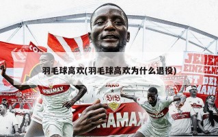 羽毛球高欢(羽毛球高欢为什么退役)