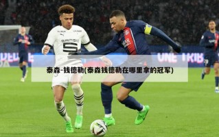 泰森-钱德勒(泰森钱德勒在哪里拿的冠军)